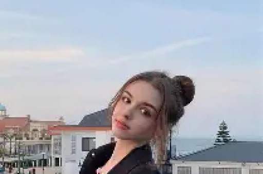 初三最后60天：435→650分精准逆袭计划